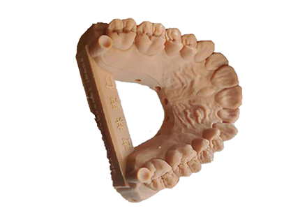Model Pergigian 3D